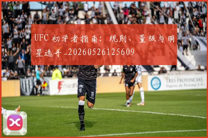 UFC 初学者指南:规则、量级与明星选手_20260526125609