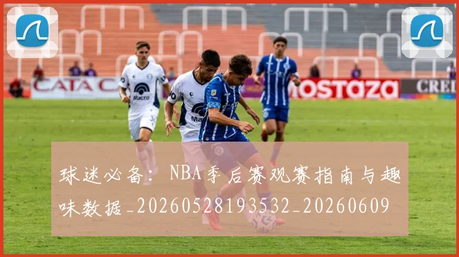 球迷必备：NBA季后赛观赛指南与趣味数据_20260528193532_20260609233857